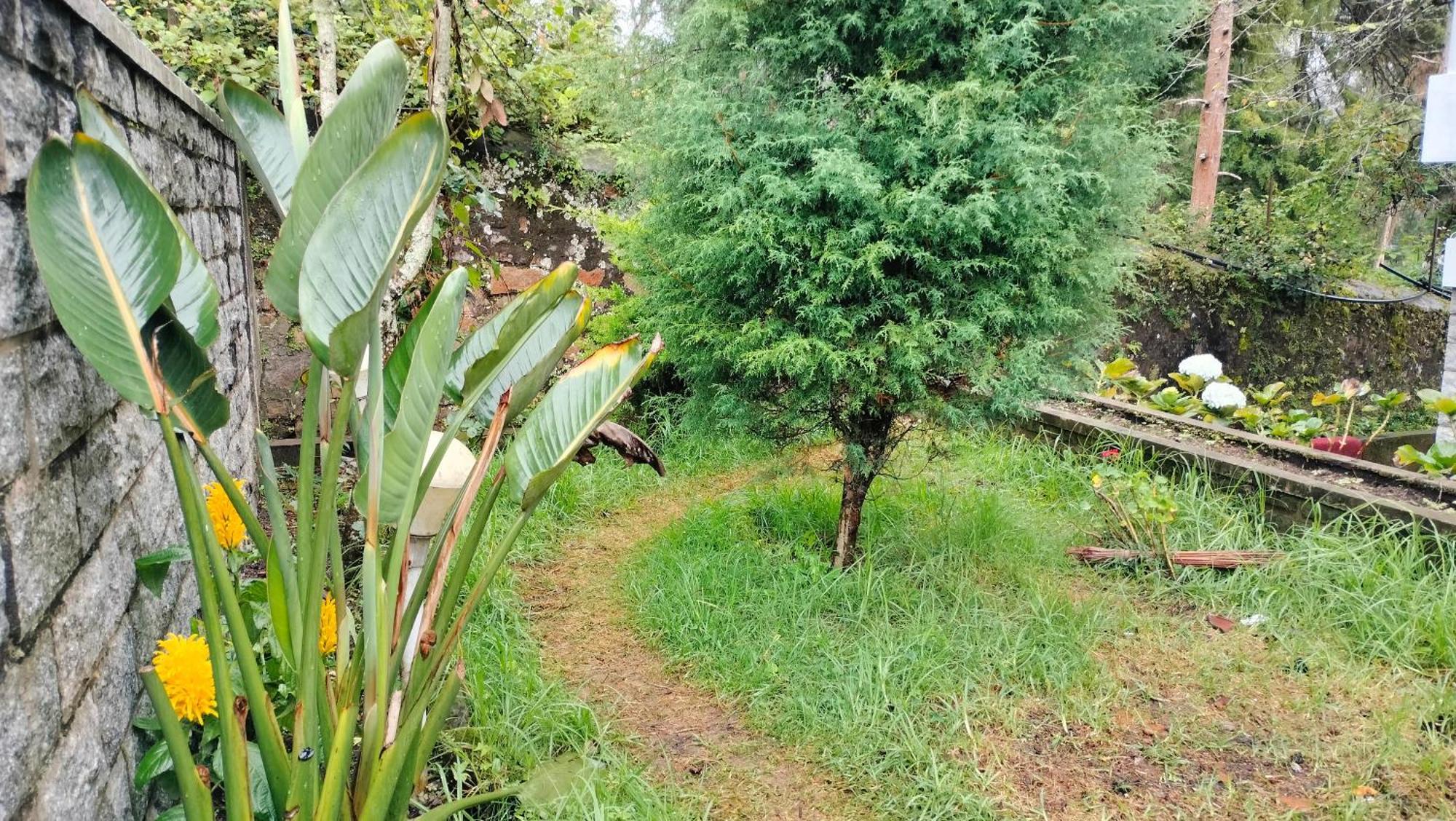 Kodai King Suite Kodaikanal Luaran gambar